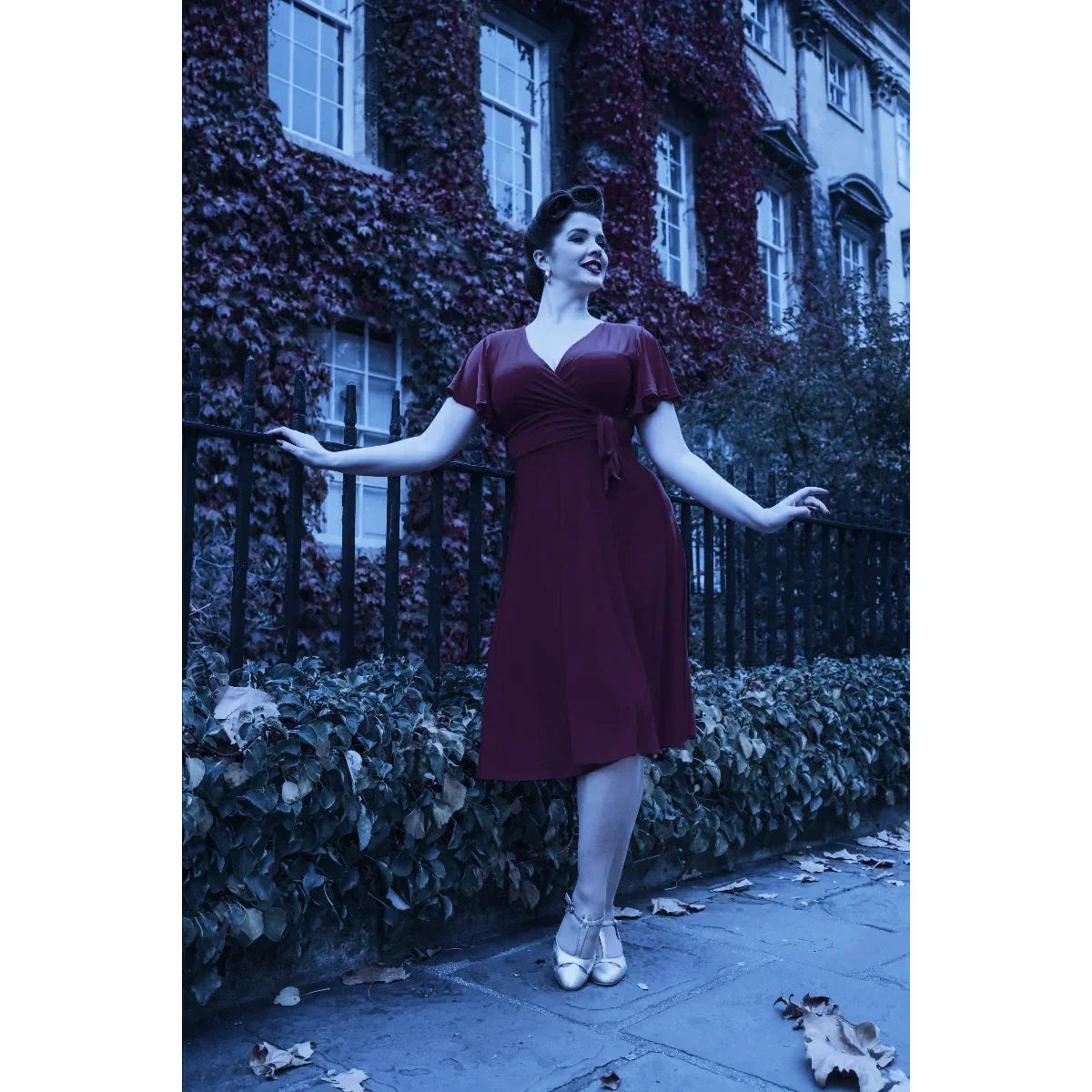 Aubergine Purple Cap Sleeve Wrap Over V Neck Vintage Wrap Top Swing Dress
