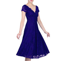 Jolie Moi Royal Blue Embroidered Lace Cap Sleeve Swing Dress - Pretty Kitty Fashion