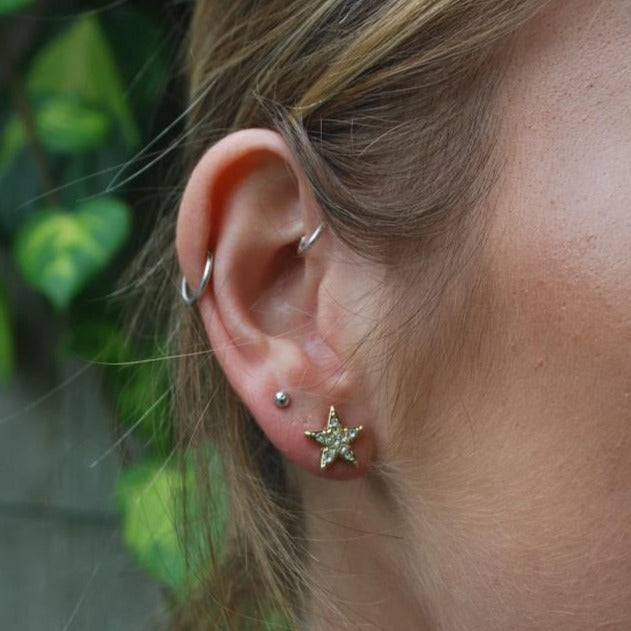 Gold Star Stud Crystal Earrings